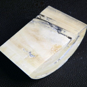 Abschnitt vom Mammutzahn mit diversen Rissbildungen ca. 60 x 37 x 19-23mm