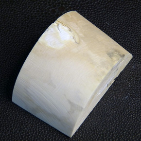 Abschnitt vom Mammutzahn mit diversen Rissbildungen ca. 60 x 37 x 19-23mm