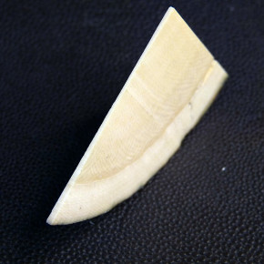 Keilscheibe aus Mammut ca. 55 x 40 x 7,3 - 1mm