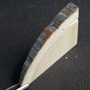 Keilscheibe aus Mammut ca. 55 x 40 x 7,3 - 1mm