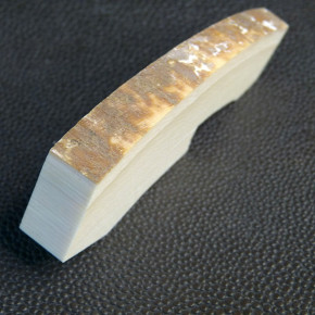 Mammut-Querschnitt mit Rinde ca. 65 x 25 x 11 - 7mm