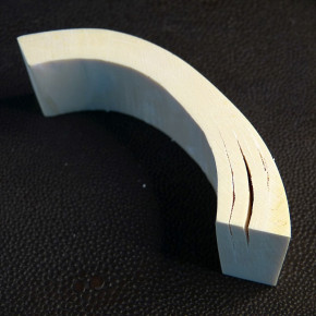 Mammut-Bogensegment ca.90 x 30 x16-9mm