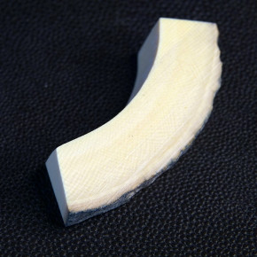 Mammut-Bogenstück ca. 62 x 18 x 13 - 6mm rissfrei