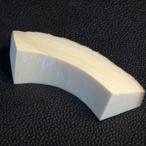 Mammut-Bogenstück ca. 62 x 18 x 13 - 6mm rissfrei