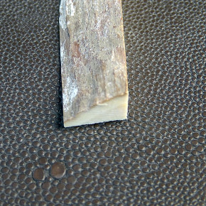 Mammut-Dreikant mit Rinde ca. 67 x 15 x 10mm