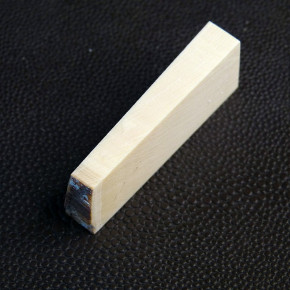 Mammut-Querschnitt ca. 49 x 18 x 10,5 - 6mm