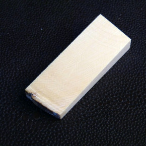 Mammut-Querschnitt ca. 49 x 18 x 10,5 - 6mm