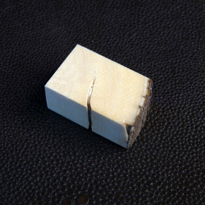 Mammut-Block mit Riss ca. 29 x 18 x 13mm