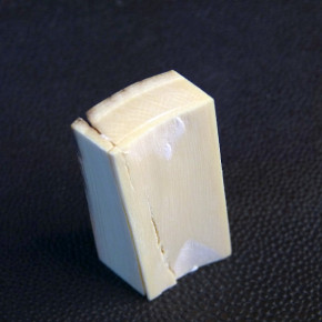 Mammut-Zuschnitt mit Rinde ca.52 x 19 x 9,5 bis 13mm