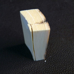 Mammut-Zuschnitt mit Rinde ca.52 x 19 x 9,5 bis 13mm
