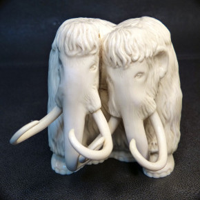 schweres Mammut-Paar aus dem Zahnkern