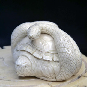 Schildkröte mit Schlange