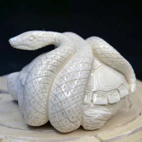Schildkröte mit Schlange