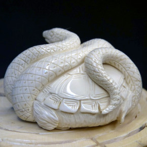 Schildkröte mit Schlange