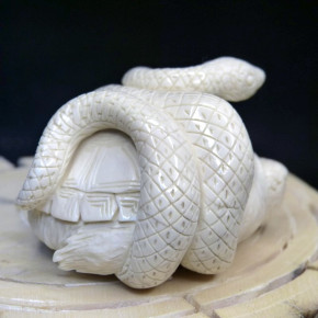 Schildkröte mit Schlange