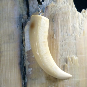Zahn/-Krallenanhänger aus Mammut