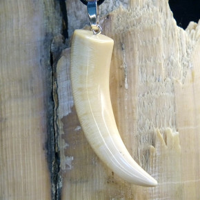 Zahn/-Krallenanhänger aus Mammut