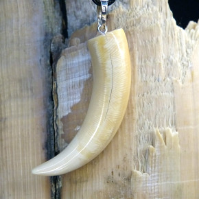 Zahn/-Krallenanhänger aus Mammut