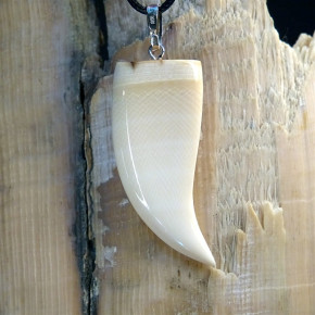 Zahn/-Krallenanhänger aus Mammut