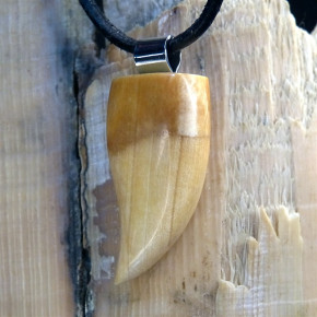 Zahn/-Krallenanhänger mit schönen Färbungen