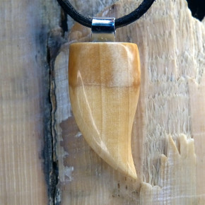 Zahn/-Krallenanhänger mit schönen Färbungen