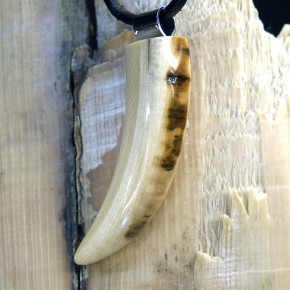 Zahnanhänger aus Mammut mit Rindenfärbung