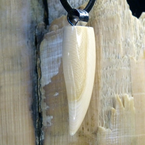 Zahn/-Krallenanhänger mit breitem Zahnschmelz