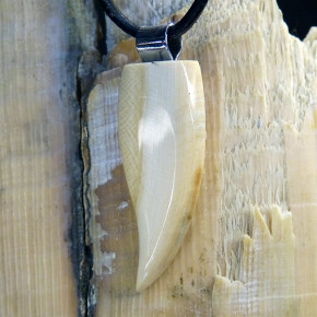 Zahn/-Krallenanhänger mit breitem Zahnschmelz