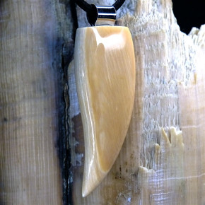 Zahnanhänger XL