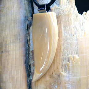 Zahnanhänger XL