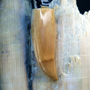 großer Zahnanhänger braun
