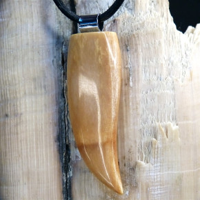 großer Zahnanhänger braun