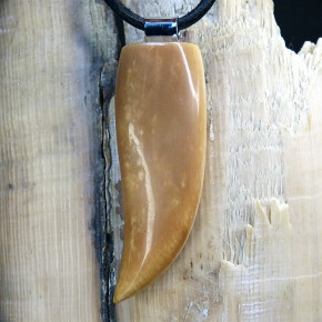 großer Zahnanhänger braun