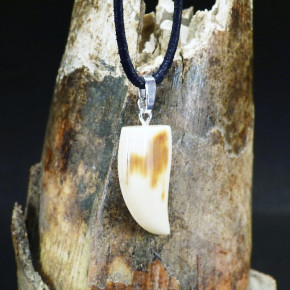 Zahn-/Krallenanhänger mit brauner Färbung