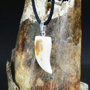 Zahn-/Krallenanhänger mit brauner Färbung