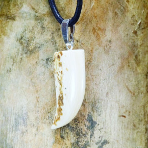 Zahn-/Krallenanhänger mit Rindenstruktur