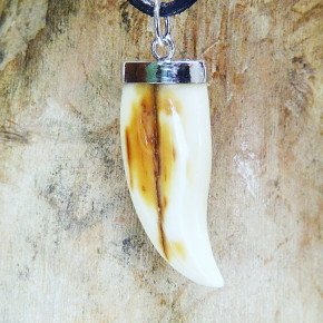 Zahnanhänger mit toller Rindenfärbung in Silber