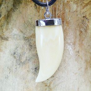 Zahnanhänger mit toller Rindenfärbung in Silber